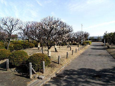 park. Until Morigasaki park 220m