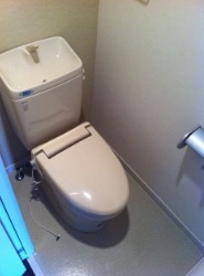 Toilet. Toilet