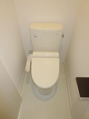 Toilet. Toilet is with a bidet