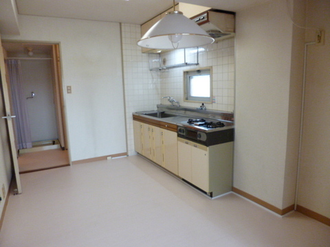 Kitchen. DK