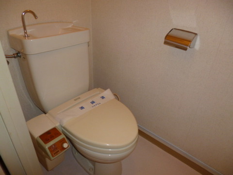 Toilet. With cleaning toilet seat