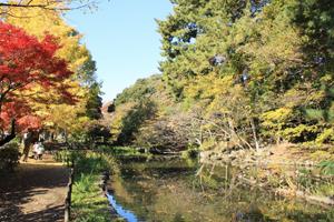 Other. Second kind scenic zone in the area, It is many living environment of greenery and park. (About 525m to Horai park)