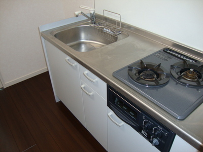 Kitchen. Gas two-burner system with grill