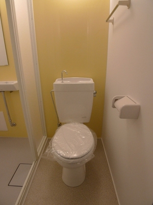 Toilet. Toilet