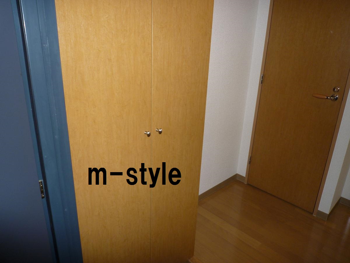 Entrance. Shoe box