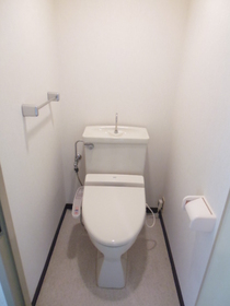 Toilet. Toilet is equipped with cleaning function