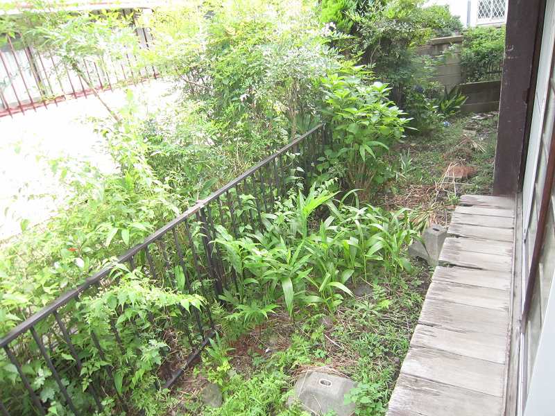Balcony. Veranda