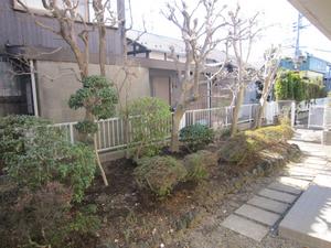 Garden. Garden