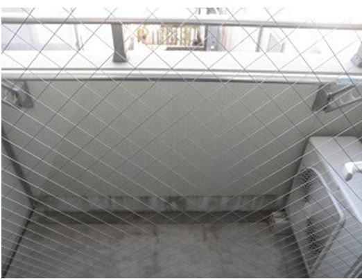 Balcony. Veranda