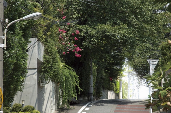Quiet mansion District neighborhood is surrounded by lush greenery. Located in a quiet area leading to the Kugahara Station (houses around local. 3-minute walk ・ About 230m)