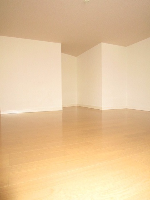 Other. loft