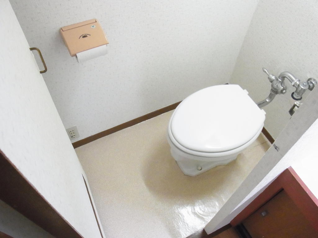 Toilet. It is a toilet with a clean sense of the white tones. 