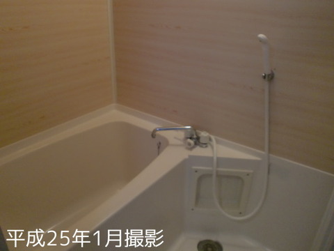 Bath. Bathroom