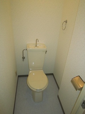 Toilet. Toilet