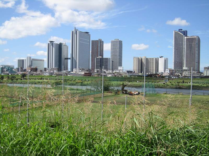 Other. Tamagawa river until the (other) 660m