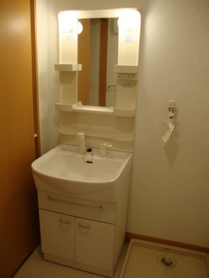 Washroom. Bathroom vanity