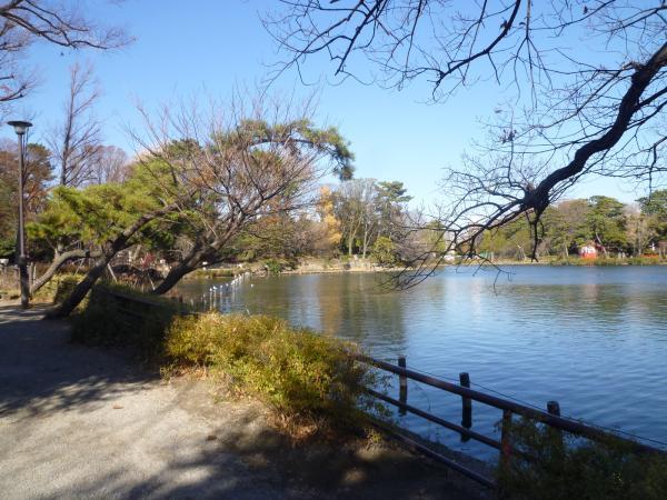 park. 50m to Senzokuike park