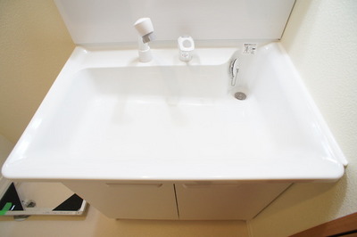 Washroom. There is also a large wash basin!
