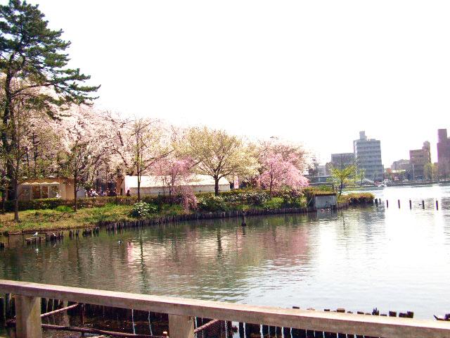Other. Senzokuike park