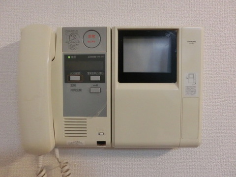 Security. Intercom with TV monitor