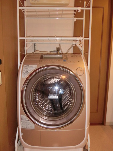 Other. Drum-type washing machine (performance guarantee exclusion)