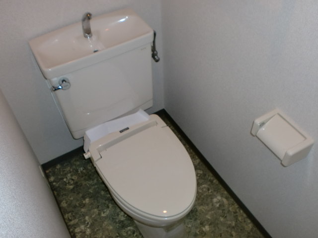 Toilet. Separate reference photograph