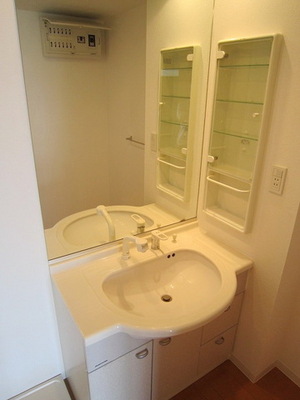 Washroom. Wash basin of a large mirror