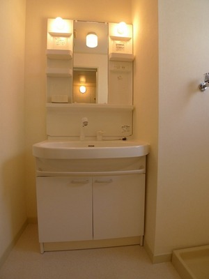 Washroom. If available is useful shampoo dresser