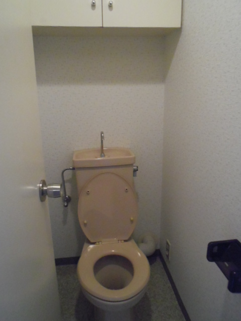 Toilet. Toilet