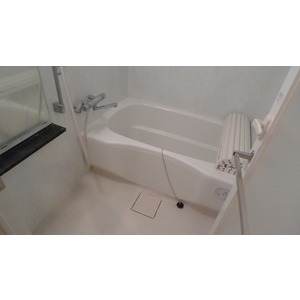Bath. With bathroom dryer!
