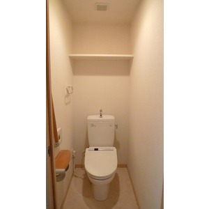 Toilet. Hot water cleaning function with toilet seat