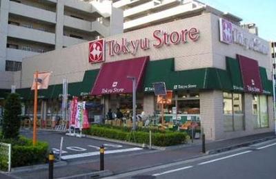 Supermarket. Tokyu Store Chain 120m until the (super)