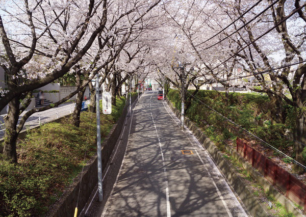 Surrounding environment. Sakurazaka (about 440m / 6-minute walk)