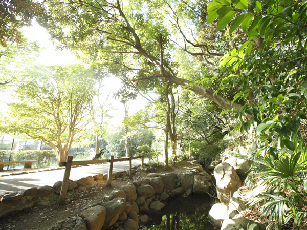 Surrounding environment. Denenchofu Seseragi park (about 1040m / Walk 13 minutes)