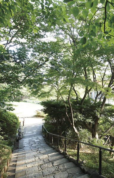 Denenchofu Seseragi park (13 mins / About 1040m) is surrounded by spring water and green, Space of rest. Beautifully seasonal plants manicured is, Adults also fun Mel children ※ Opening hours only possible entrance