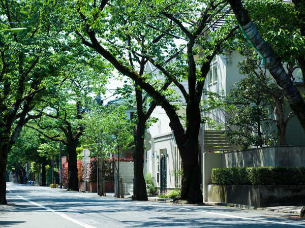 Surrounding environment. Nearby streets (about 600m / An 8-minute walk)