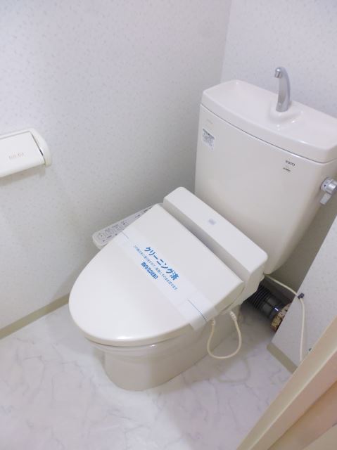 Toilet. Toilet with cleanliness. 