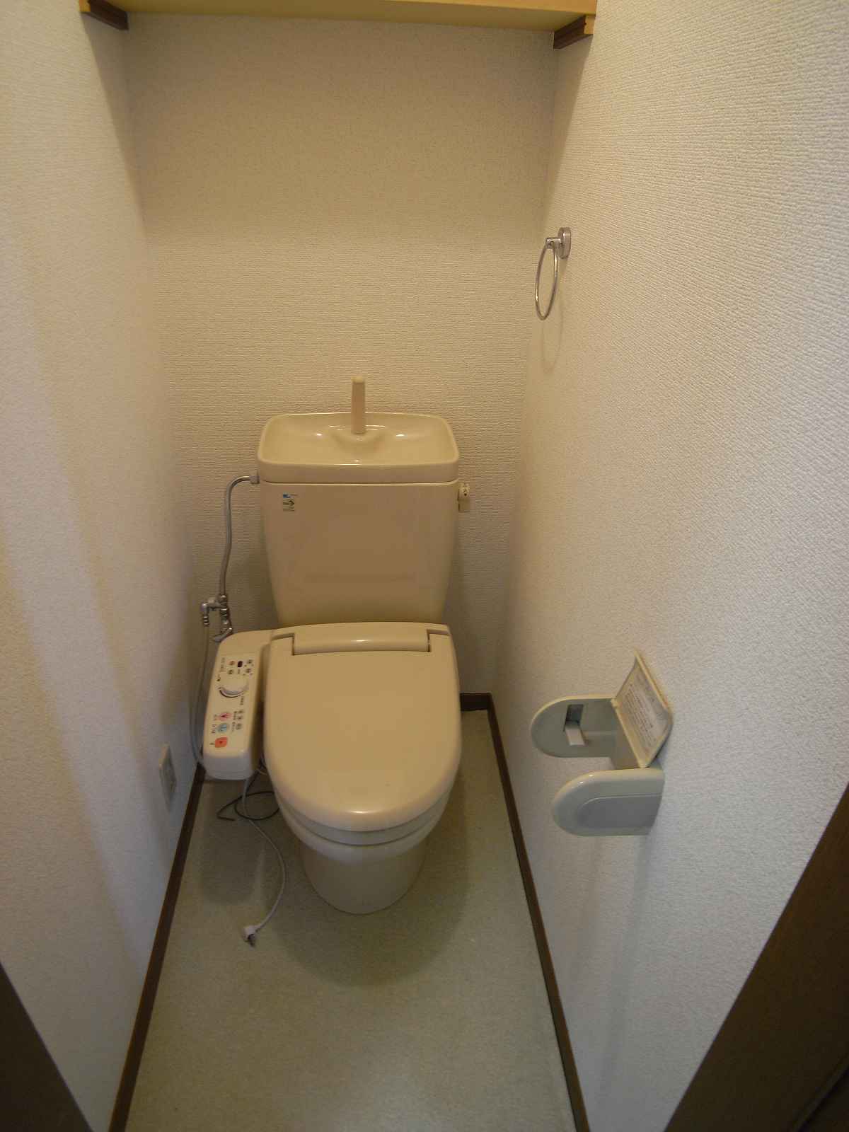 Toilet. Toilet has become a shower toilet in a different