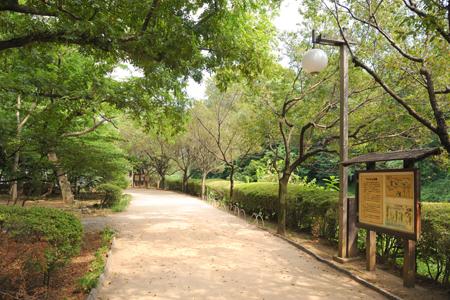 park. 480m to Komaba field park
