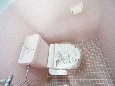 Toilet. Shower toilet