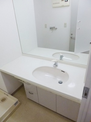 Washroom. It is an independent wash basin with large mirror