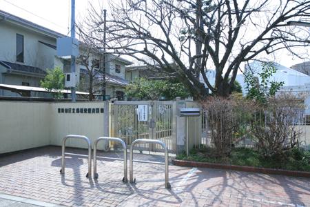 kindergarten ・ Nursery. 254m to Setagaya Ward Funabashi Higashi nursery