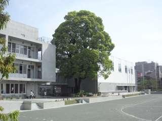 Primary school. 891m to Setagaya Ward Matsuzawa Elementary School