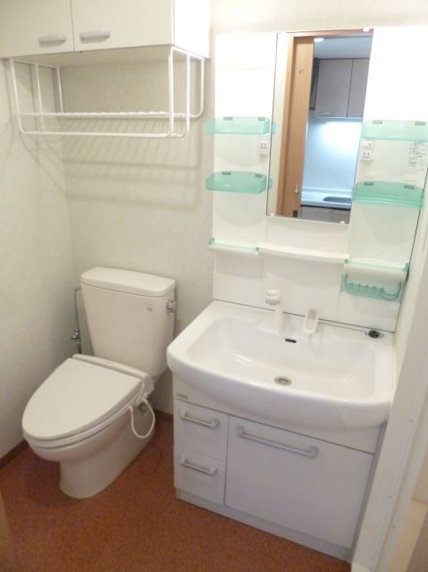 Toilet. With popular shampoo dresser