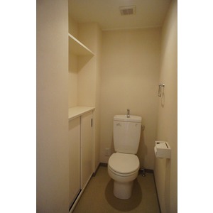 Toilet. New exchange plans to with hot cleaning function