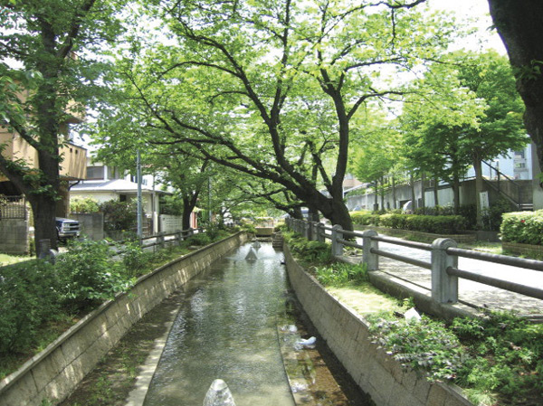 Surrounding environment. Municipal 呑川 green road (about 50m / 1-minute walk)