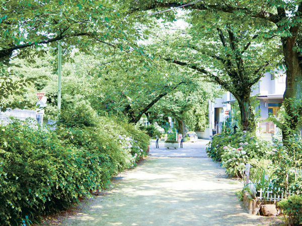 Surrounding environment. Is the beautiful promenade Setagaya Hyakkei of one is also the cherry trees and waterside. In spring, Many people enjoy the landscape of graceful cherry visited. (呑川 green road ・ About 50m / 1-minute walk)