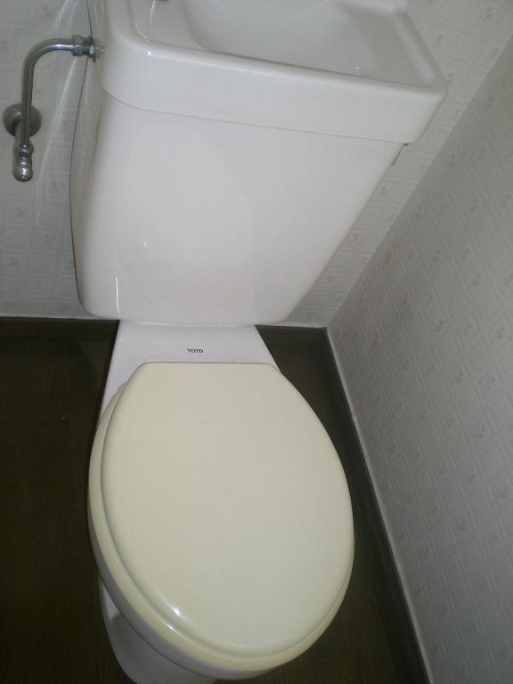 Toilet. The photograph is a separate room