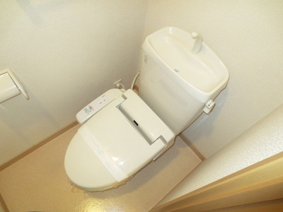 Toilet. Toilet of God