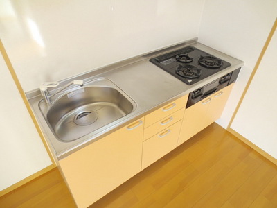 Kitchen. System kitchen